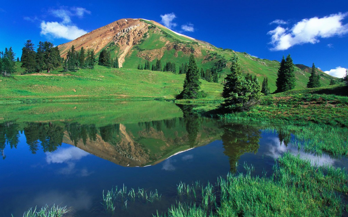 2024车险全知晓，财富稳稳握手中！